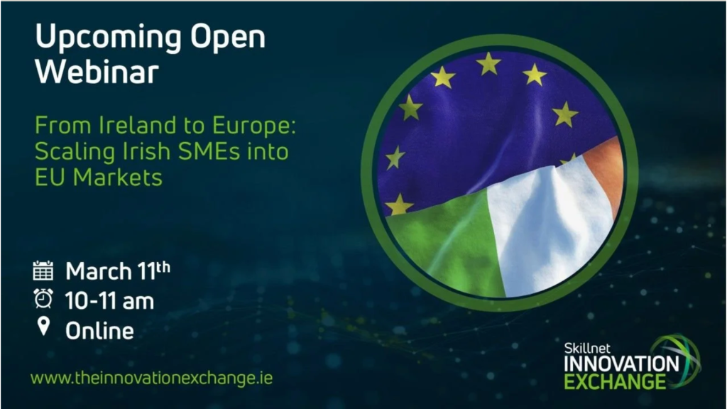 Read more about the article ONLINE: From Ireland to Europe: Scaling Irish SME’s into EU Markets