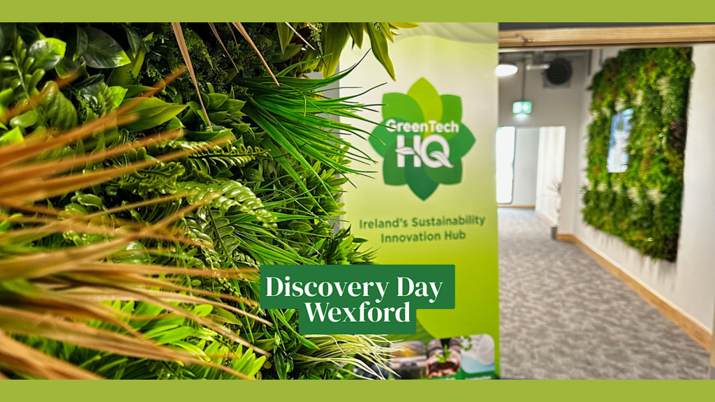 Read more about the article IN-PERSON: Discovery Day – Wexford
